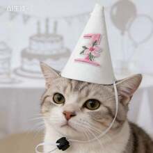 宠物生日派对用品，狗猫皇冠帽服装配饰 - 米色 - 查看 3