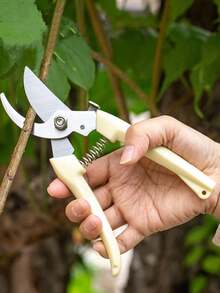 1pc Minimalist Pruning Shears, Stainless Steel Plant Branch Scissors For Garden - 杏 - 查看 1