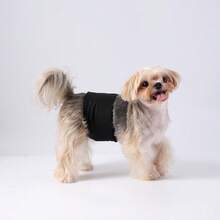 2Pcs/4PCS Male Dog Wraps - High Absorbency Male Dog Diapers,Washable Washable Belly Band For Male Dogs Incontinence And Puppy Training ﻿ - Multicolor - View 6
