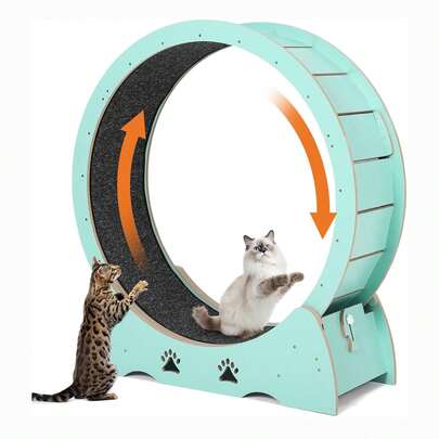 Tunnel per gatti