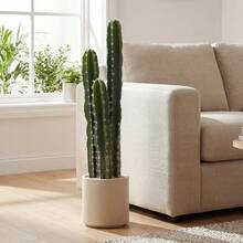 Large Artificial Cactus, 95 Cm, With Pot, Realistic Appearance, For Home, Office, Green. - Green - View 2