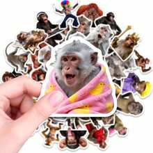 50 Peças Adesivos Engraçados de Macaco, Adesivos Estéticos de Vinil À Prova d'Água para Garrafas de Água, Laptops, Telefones, Skates, Bagagens, Decalques de Primatas Legais para Lembrancinhas de Festa, Artesanato DIY, Decoração de Quarto, Jornalismo, Scrapbooking, Presente para Amantes de Animais - 1 Set - Visão 8
