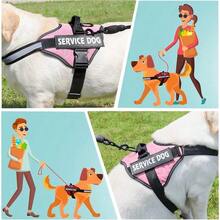 1 pieza Chaleco reflectante con correa, diseño sin tirones con asa y acolchado de malla, adecuado para cachorros XXS-XL, incluye 2 parches de servicio desmontables, suministros para mascotas - Multicolor - Ver 8