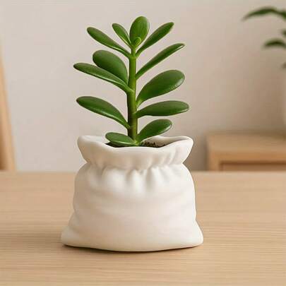 1个塑料多肉植物种植盆，皇冠造型，带排水孔，非常适合公主和王子主题派对，也适合盆栽、桌面或窗台装饰，是圣诞节和复活节的绝佳礼物。