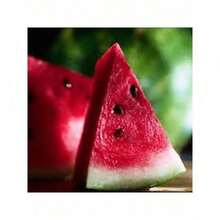 Popular High Germination Rate 50pcs Garden Color Watermelon Fruit Plantss Sweet Juice Non-GMO Fruit High Growth Rate - Default - View 9