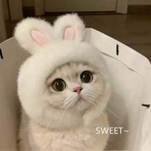 Cute Cat Accessories For Halloween, Suitable For 2-7kg Pets, Christmas Pet Headwear White Rabbit Pet Headwear, Cat Dog Universal Internet Celebrity Rabbit Hat, Cute Rabbit Pet Photo Props Headwear For Halloween - White - View 2