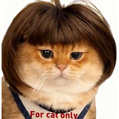 Tóc giả thú cưng vui nhộn - Tóc giả ngắn kiểu bob có thể điều chỉnh, phù hợp cho mèo và chó nhỏ. Được làm từ sợi tổng hợp mềm mại, thoáng khí với dây chun co giãn. Hoàn hảo cho Halloween, Giáng sinh, tiệc sinh nhật, cosplay, chụp ảnh và hóa trang hàng ngày cho thú cưng. - Nhẹ, dễ đeo và tháo, phù hợp với hầu hết các giống mèo.