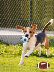 毛绒发声狗狗玩具，橄榄球造型，耐用耐咬玩具，适合宠物互动 - 彩色 - 查看 3