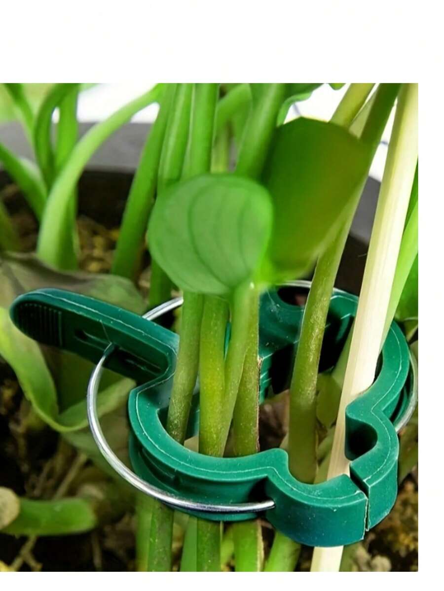 Bộ 31 kẹp buộc cây ngoài trời, kẹp cố định cây hoa, kẹp làm vườn/kẹp trồng cây/kẹp nhựa dùng cho cây cà chua. - / - Xem 1