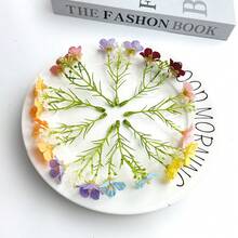 5/10/20/30 bông hoa giả - Hoa anh đào mini, hoa lụa, cây giả, trang trí nhà cửa, nhà hàng, phòng khách, sân vườn ngoài trời, cắm hoa, đạo cụ chụp ảnh, mùa thu, mùa xuân, bình hoa, tường hoa, vòng hoa, bó hoa cưới, trang trí đám cưới, nguyên liệu làm vòng hoa tự làm, trang trí tiệc sinh nhật, phụ kiện trang trí nhà cửa, Ngày Valentine - Nhiều màu - Xem 3