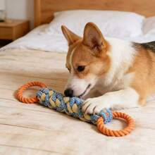 Brinquedo de corda para cães (2 unidades) - Brinquedo resistente com alça dupla e nó, indestrutível para cães que mastigam com força, auxilia na limpeza dos dentes e cuidados dentais, brinquedo interativo de cabo de guerra para todas as raças, mordedor para filhotes (laranja/azul) - Baby Azul - Ver 6