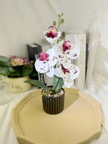 1盆仿真兰花盆栽，紫红色和白色豹纹蝴蝶兰盆栽，假兰花装饰，适合家居、酒店、办公室桌面摆件，带塑料花盆 - 彩色 - 查看 11