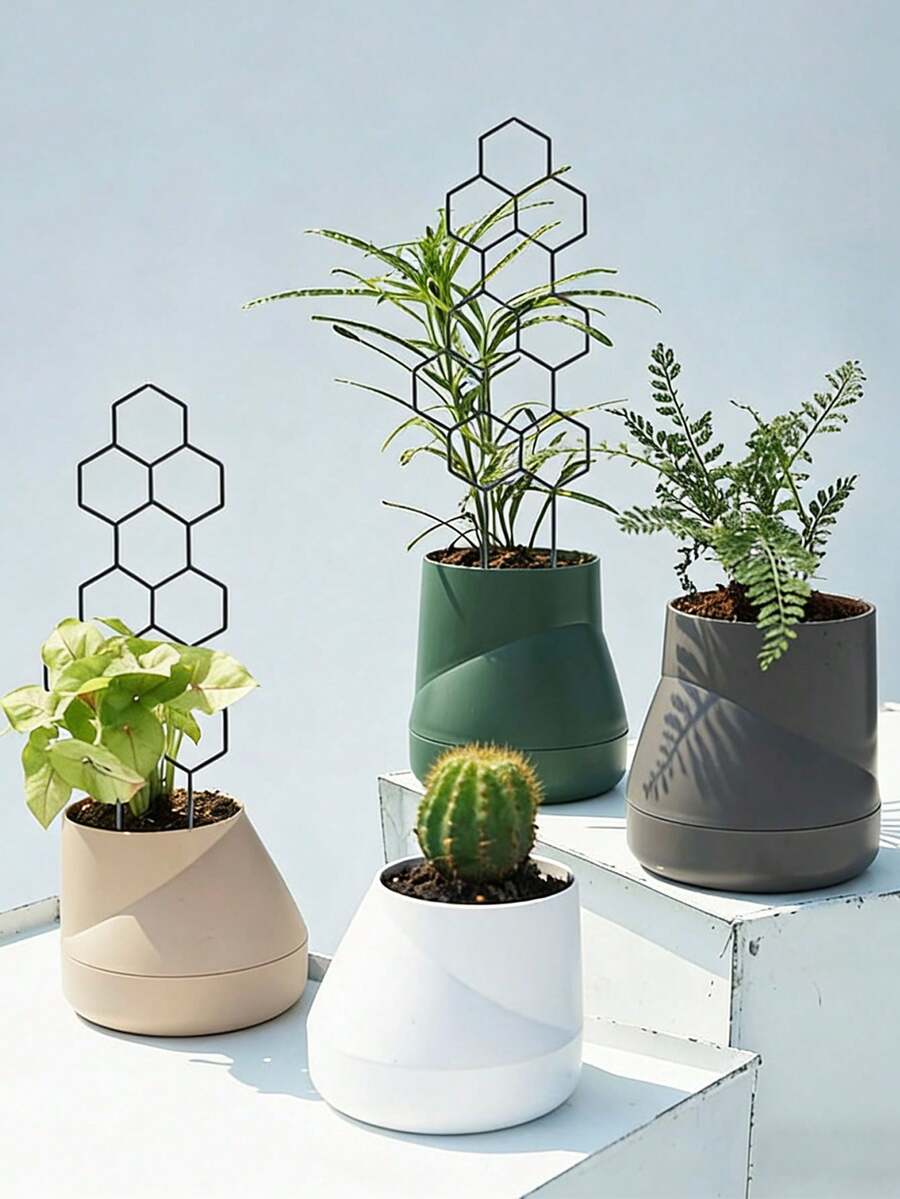 半圆形塑料植物支撑环，花盆攀爬架，适用于室内小型植物、花卉、蔬菜 - 彩色 - 查看 1