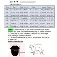一件轻盈的春夏公主风宠物连衣裙，适合中大型犬，例如边境牧羊犬、金毛寻回犬、拉布拉多犬、萨摩耶犬、柯基犬等。 - 白色 - 查看 2