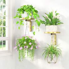 2个金属壁挂式植物架，室内外花盆架，悬挂支架节省空间，安装简便 - 黑色 - 查看 9