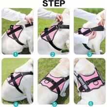1 pieza Chaleco reflectante con correa, diseño sin tirones con asa y acolchado de malla, adecuado para cachorros XXS-XL, incluye 2 parches de servicio desmontables, suministros para mascotas - Multicolor - Ver 7