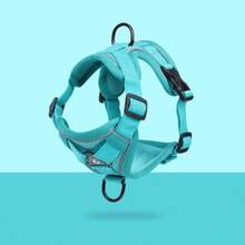 反光防逃脱猫咪胸背带和牵引绳套装，透气防拉扯可调节宠物遛狗用品，适用于猫咪和小型犬 - 綠色 - 查看 5