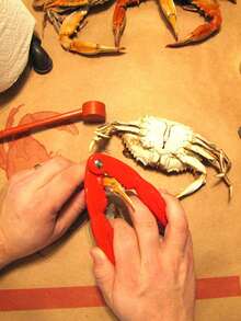 1pc Crab Claw Clip Crab Tool, Seafood Tool, Household Crab Clip - View 2