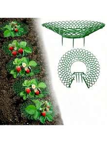 Bộ 10 giá đỡ trồng dâu tây, giá đỡ chậu dâu tây, khung đỡ trái cây chống thối rữa, giá để dâu tây (hình cánh hoa) - giàn dâu tây - Xem 3