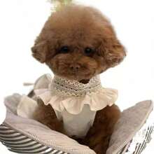 Váy mỏng nhẹ mùa xuân/hè cho chó cưng, váy công chúa kiểu Hàn Quốc cổ chữ V ren cho chó Teddy/Poodle. - Màu be - Xem 4
