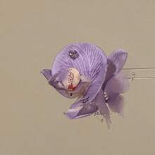 1pc,Purple Flower Hairpin For Women, Fairy Vacation Style Side Clip, Beach Photo Hair Accessory - 紫色 - 查看 5