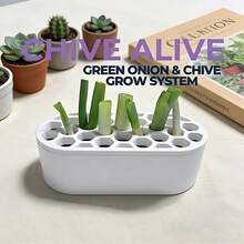 1 szt. Sztuczna miniaturowa roślina doniczkowa, sztuczny kwiat do wnętrz, wystrój domu, mały sztuczny kwiat, nadaje się do domu, okna, łazienki, ściany, biurka, kuchni, gospodarstwa, dekoracji na imprezę walentynkową, sukulent, z doniczką, mała sztuczna roślina doniczkowa, różowa sztuczna roślina, nadaje się do salonu, sypialni - A - Zobacz 7
