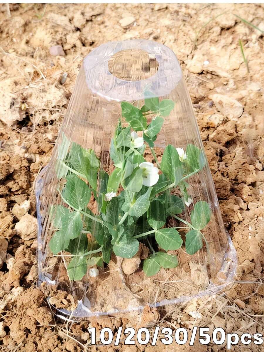 10个可重复使用的透明塑料植物罩 - 迷你温室，防霜冻/防晒/防鸟/防蜗牛，植物生长辅助器，园艺必备品 - 多色 - 查看 1