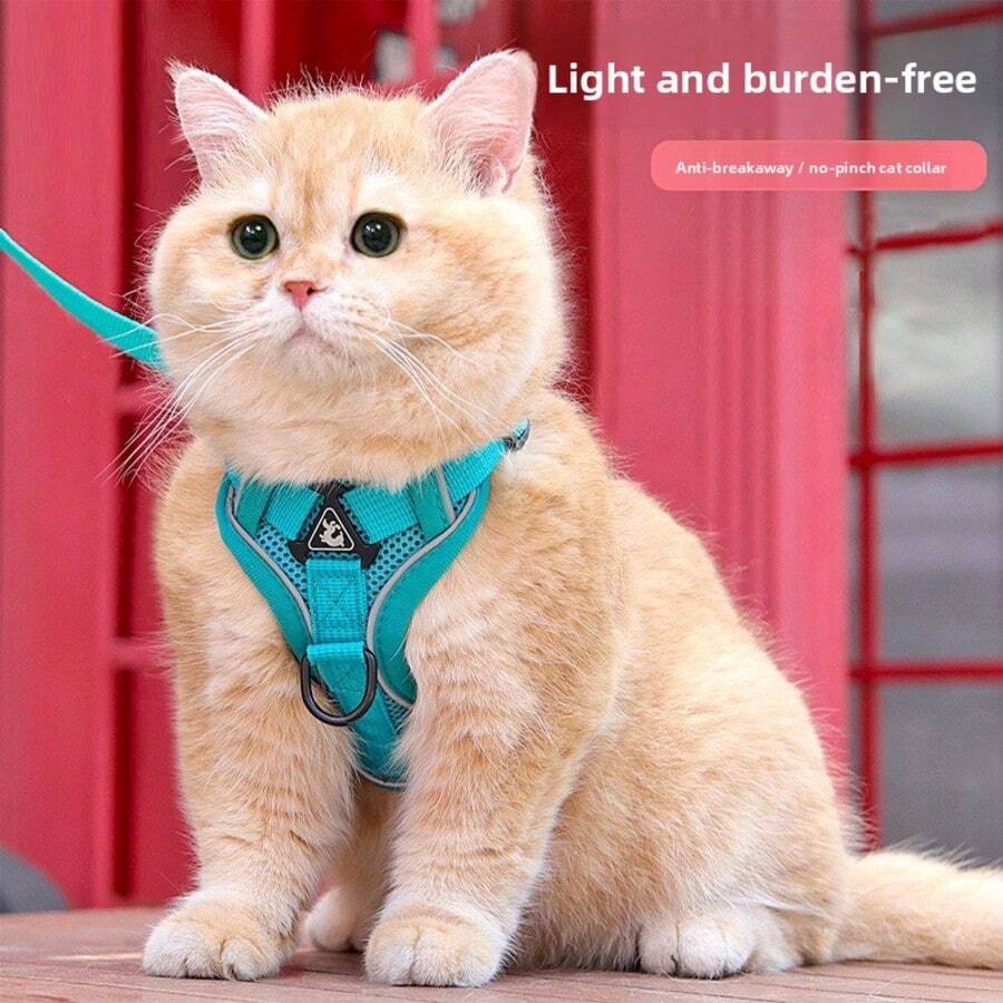 反光防逃脱猫咪胸背带和牵引绳套装，透气防拉扯可调节宠物遛狗用品，适用于猫咪和小型犬 - 綠色 - 查看 1