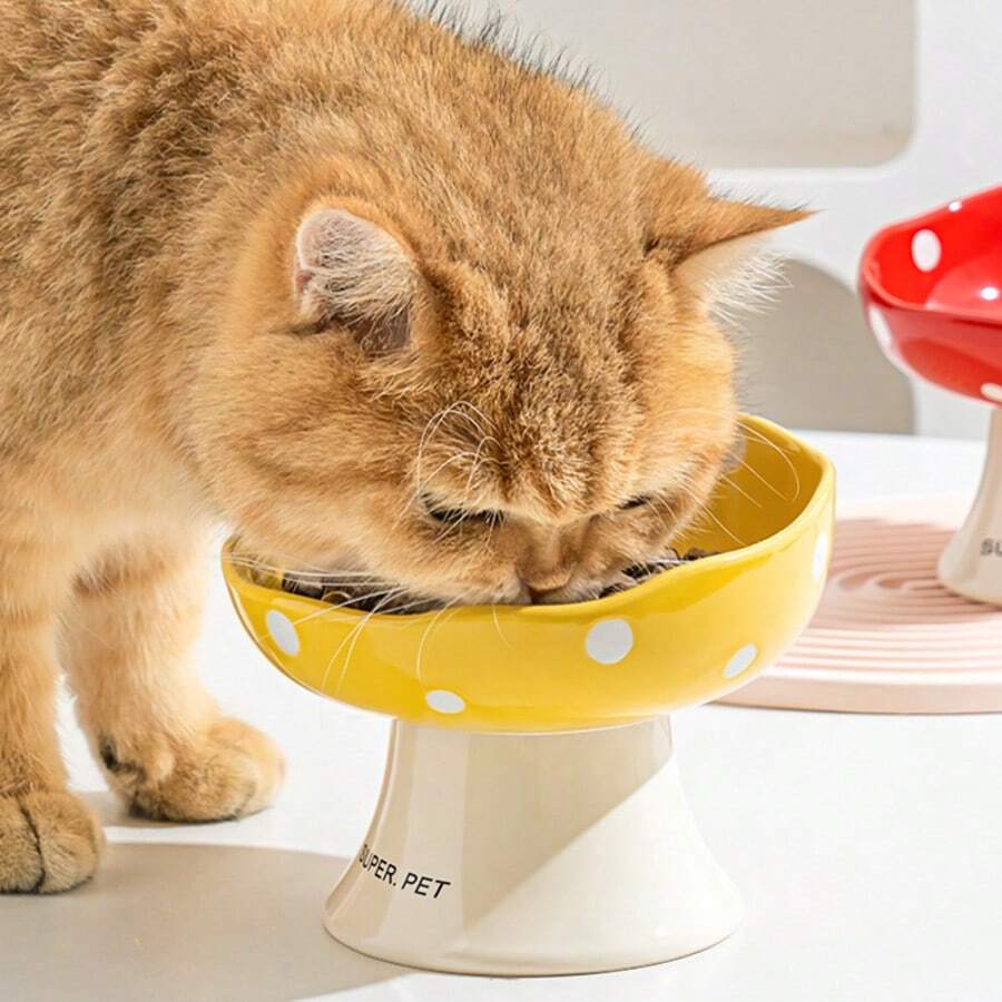 Bát ăn cho mèo bằng gốm, bát đựng thức ăn cho mèo đường kính lớn, bát ăn cho mèo bằng gốm có đáy nghiêng, chống tràn, chống bám bẩn cằm, bát ăn cho mèo hình nấm có chân đế cao.