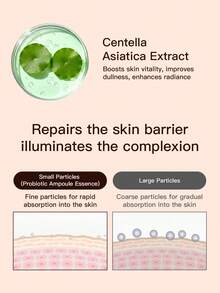 SKIN1004 1 Bottle 50ml Probio Centella High Moisture Firming Serum, Probiotic Barrier Repair Hydrate Smooth Lines, Gentle Essence For Dry Sensitive Early Aging Skin - New Centella Asiatica Probiotic High Moisturizing and Firming Essence 50ml - View 2