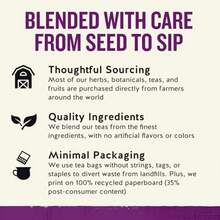 Celestial Seasonings Wild Berry Zinger Herbal Tea Caffeine  20 Tea Bags Box - Wild Berry Zinger - View 4