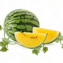 Popular High Germination Rate 50pcs Garden Color Watermelon Fruit Plantss Sweet Juice Non-GMO Fruit High Growth Rate - Default - View 4