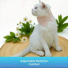 Veterinary Pet Medicals Collar Protective Neck Brace For Injury Recovery - Multicolor - View 5