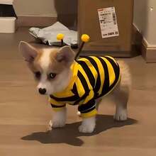 1pc Pet Bee Themed Hoodie, Cute Animal Design Suitable For Cosplay - Yellow - View 1