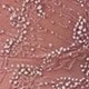 Dusty Pink