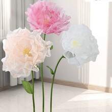 75 cm mehrfarbig