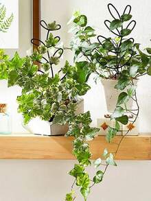 半圆形塑料植物支撑环，花盆攀爬架，适用于室内小型植物、花卉、蔬菜 - 彩色 - 查看 6