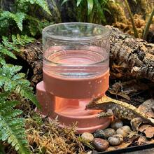 Khay đựng nước cho bò sát có đế chống trượt, khay đựng nước tự động bằng nhựa có thể tháo rời, ổn định, đặt trong nhà. - Nhiều màu - Xem 4