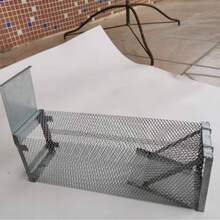 斜坡式连续捕鼠器，多功能全自动捕鼠器，高科技高效灭鼠器 - 斜坡式連續捕鼠籠 - 查看 5