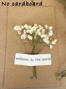 20/50/100/150/300 支迷你人造满天星及其他花卉 - 适用于树脂模具工艺品制作、彩色花束（可用于发饰、婚礼花环、餐桌装饰、家居装饰） - 象牙白花束（可用于发饰、婚礼花环、餐桌装饰及家居装饰） - 白綠色 - 查看 4