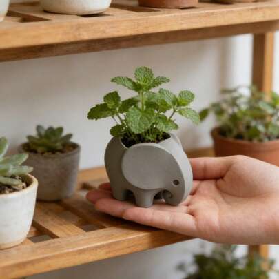 1 chậu cây cảnh mini hình voi có lỗ thoát nước - Chậu trồng xương rồng nhỏ in 3D, thích hợp để bàn, kệ, ban công, trong nhà/ngoài trời, giá đỡ chậu bằng nhựa bền, hình dáng bất đối xứng được đánh bóng, quà tặng trang trí nhà cửa và văn phòng.