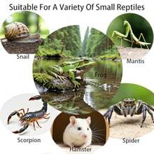 Acrylic Jumping Spider EnclosureReptile Enclosure Bug Habitat For Small Tree Dwelling Reptiles Arboreal Tarantula Enclosure Spider Terrarium Kit Plastic Terrarium 4.7" X 4.7" X 8" - A3 - View 6