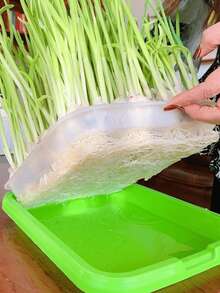Sprouting Seed Sprouting Kit With Sprouting Tray And Base - Compact Sprouting System For Peas, Beans, Wheat, Pet Grass - Green Sprouting Cultivator With Drainage Holes (Seeds Not Included) - Multicolor - View 10