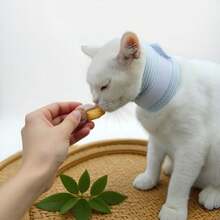 Veterinary Pet Medicals Collar Protective Neck Brace For Injury Recovery - Multicolor - View 6