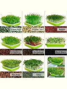 Sprouting Seed Sprouting Kit With Sprouting Tray And Base - Compact Sprouting System For Peas, Beans, Wheat, Pet Grass - Green Sprouting Cultivator With Drainage Holes (Seeds Not Included) - Multicolor - View 6