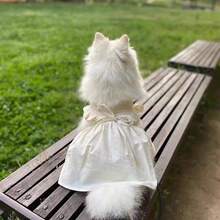 Váy mỏng nhẹ mùa xuân/hè cho chó cưng, váy công chúa kiểu Hàn Quốc cổ chữ V ren cho chó Teddy/Poodle. - Màu be - Xem 5
