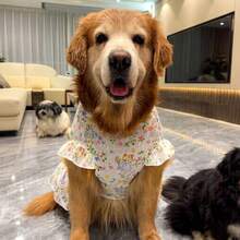 一件轻盈的春夏公主风宠物连衣裙，适合中大型犬，例如边境牧羊犬、金毛寻回犬、拉布拉多犬、萨摩耶犬、柯基犬等。 - 白色 - 查看 3