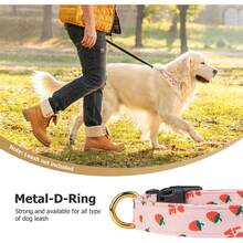 Fashion Dog Neck Collar Breathable Adjustable Quick Release Pet Collar - Multicolor - View 1