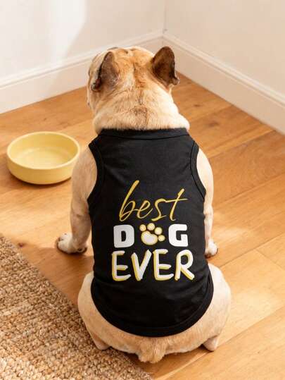 LUCKIE PAW 2件装“最佳狗狗/猫咪”趣味印花宠物背心，物理驱蚤，减少掉毛，保暖透气，适合小型/大型犬猫，室内/室外均可穿着。