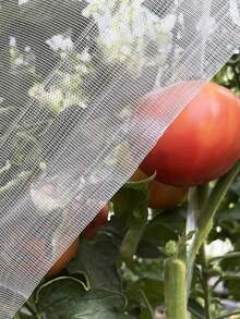 1 Pack Polyethylene Anti-Insect Net, Easy To Cut, Transparent Mesh, Fruit Covering Protection Net, Greenhouse Plant Protection Net, Greenhouse Anti-Insect Net, Plant And Fruit Protection Film - A - View 3